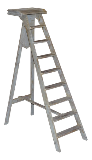 French Library Step Ladder, 1920s