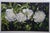 Deborah Rubin "Peonies" Floral Botanical Still Life Watercolor Painting 50" For Sale - Image 6 of 10