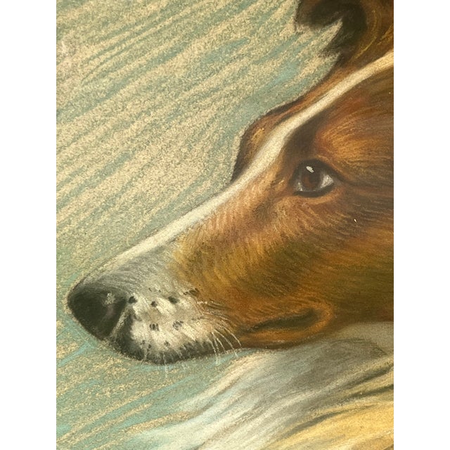 1910s Art Nouveau Pastel Portrait of a Collie For Sale - Image 4 of 8