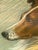 1910s Art Nouveau Pastel Portrait of a Collie For Sale - Image 4 of 8