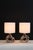 A petite pair of Seguso style lamps .Unusual sculptural form that creates more depth. Vibrant blend of earth tones...