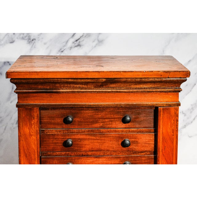 English Amazing Antique Wellington Cabinet 19th Century English Wooden 10 Drawer Chest Collector Storage English Home Decor For Sale - Image 3 of 17