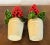 Antique German Christmas Ornaments Paint Decorated and Carved Wood Red Berry Topiary Trees in Pots - a Pair For Sale - Image 9 of 10