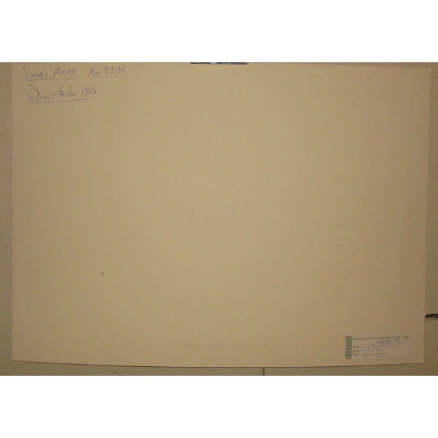 Black 1962 Sugar Maple Photo by Daniel Farber For Sale - Image 8 of 9