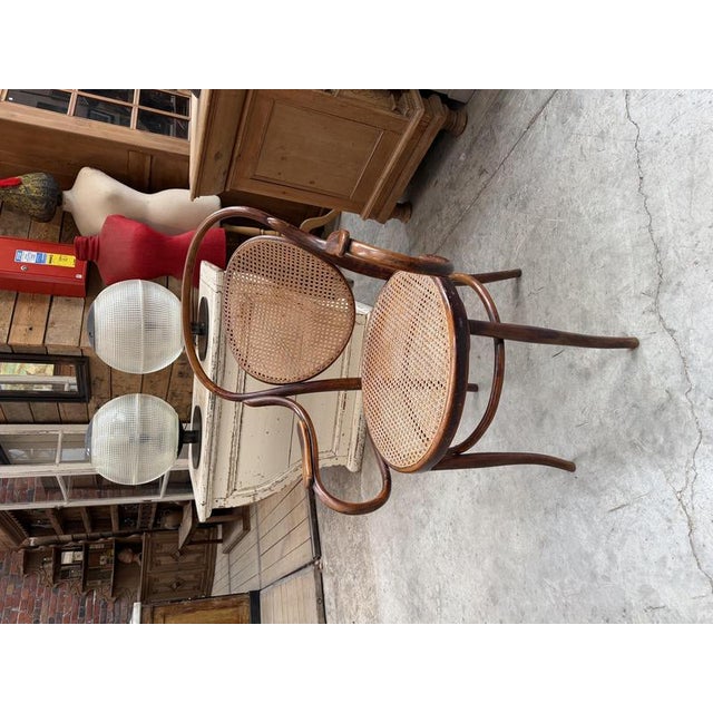 1930s Bentwood and Beech Armchair from DLG Thonet For Sale - Image 5 of 11