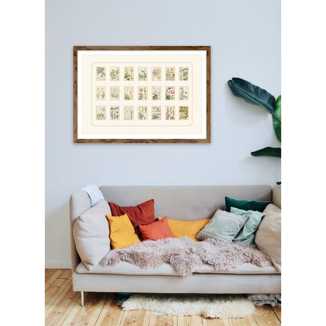 Atelier Aria Lumae Eugene Grasset Maurice Pillard Verneuil Art Nouveau Botanical Specimen Grid Board Print 60 X 40 For Sale - Image 16 of 17