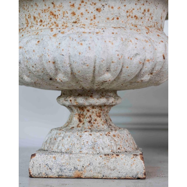 Pair of English 19th Century Cast-Iron Garden Urns For Sale - Image 11 of 13