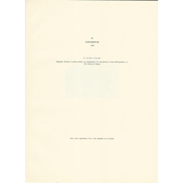 1950s Giorgio Morandi, Shells, 1957, Lithograph For Sale - Image 5 of 7