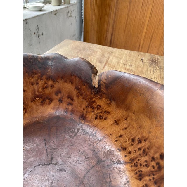 Cedar Root Wooden Flat Dish, 1950s For Sale - Image 13 of 18