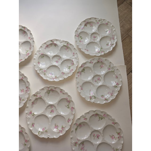 Ceramic Oyster Plates Collection of Eight French Haviland Limoges For Sale - Image 7 of 9