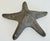 Mid 20th Century Vintage Solid Brass Starfish Paper Weight For Sale - Image 5 of 8