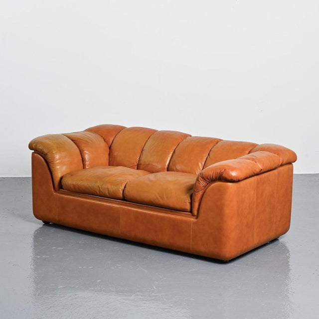 Brown Cocker Leather Sofa by Franco Bresciani for Poltrona Frau, 1970s For Sale - Image 8 of 16