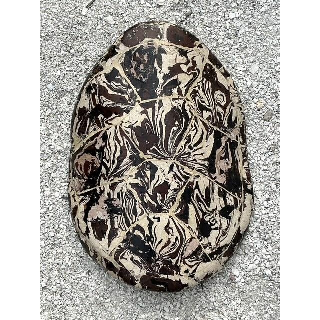 This captivating artisanal sculpture is a masterclass in Postmodern organic design, utilizing the sophisticated scagliola...