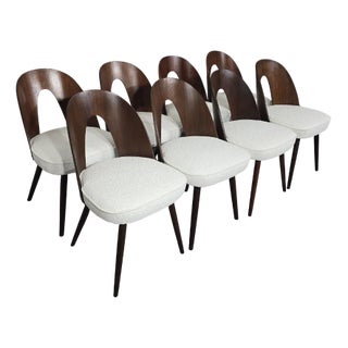 Dining Chairs by Antonin Suman, 1960s, Set of 8 For Sale
