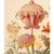 Museum-Quality Fine Art Prints After Original Botanical Watercolors From the 1800s. For Sale - Image 9 of 9