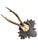 Cabin RoE Deer Trophy 171 Black Forest Antlers For Sale - Image 3 of 5