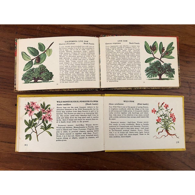 Paper Vintage Tree and Wild Flower Nature Guide Book Set of 2 For Sale - Image 7 of 16
