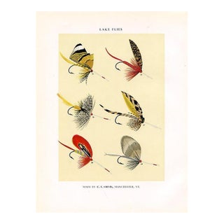 Vintage Lake Fishing Flies Print by Charles Orvis, Original Vintage Fishing Print, Lithograph For Sale