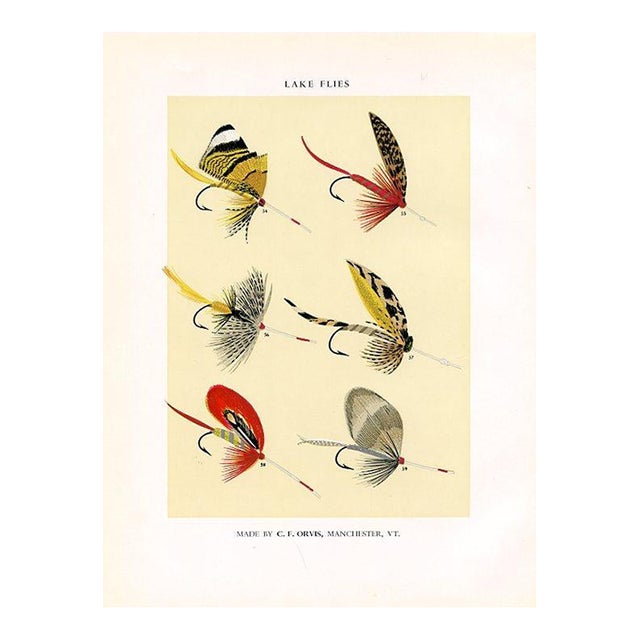 Vintage Lake Fishing Flies Print by Charles Orvis, Original Vintage Fishing Print, Lithograph For Sale