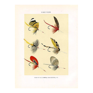 Vintage Lake Fishing Flies Print by Charles Orvis, Original Vintage Fishing Print, Lithograph