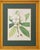 Walter Hood Fitch Botanical Offset Lithographs, 2 For Sale - Image 10 of 16