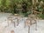 Francois Carre Distressed Petite Garden Chairs - Set of 4 For Sale - Image 9 of 12