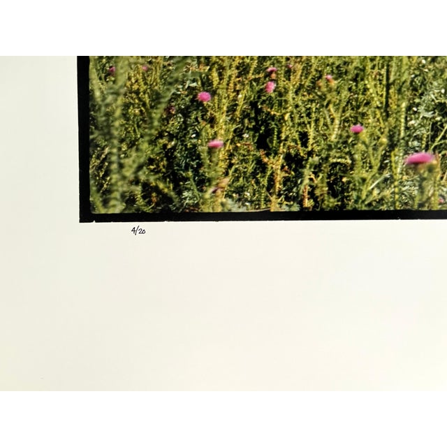 Realism Maxwell Mackenzie, Farm Summer Landscape, Large Panoramic Vintage Color Photograph Signed Photo, 1993 For Sale - Image 3 of 7