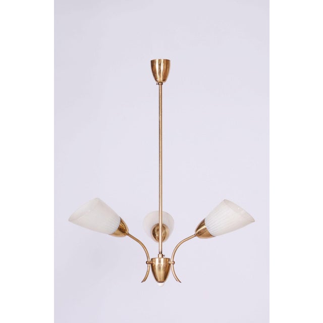Mid-Century Chandelier in Brass and Frosted Glass, Czech, 1950s For Sale - Image 12 of 12
