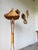 Bamboo and Straw Floor Lamp, 1980 For Sale - Image 3 of 18