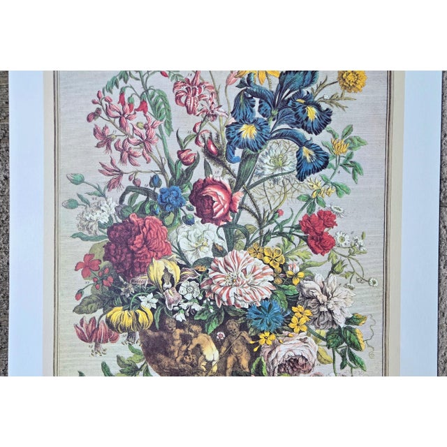 Paper 1980s Vintage Robert Furber June Botanical From "Twelve Months of Flowers” Pierpont Morgan Library Print For Sale - Image 7 of 12