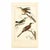 Early 19th Century 19th-Century Hummingbird Study | Set of 4 Buffon Hand-Colored Antique Bird Prints For Sale - Image 5 of 6