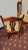 Wood Antique 1930s Jacobean Renaissance English Tudor Set of 4 Oak Chairs Very Well Built Dining Chairs For Sale - Image 7 of 7