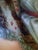 18th Century Attributed Jean-Marc Nattier Oil Portrait of Madame De Pompadour For Sale In New York - Image 6 of 12