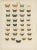 Ramann, Butterflies and Moths, 1870, Set of 7 For Sale - Image 6 of 9