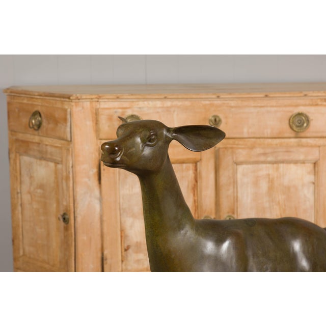 Brown Continental 1930s Life Size Bronze Sculpture of a Deer Standing on its Four Legs For Sale - Image 8 of 12