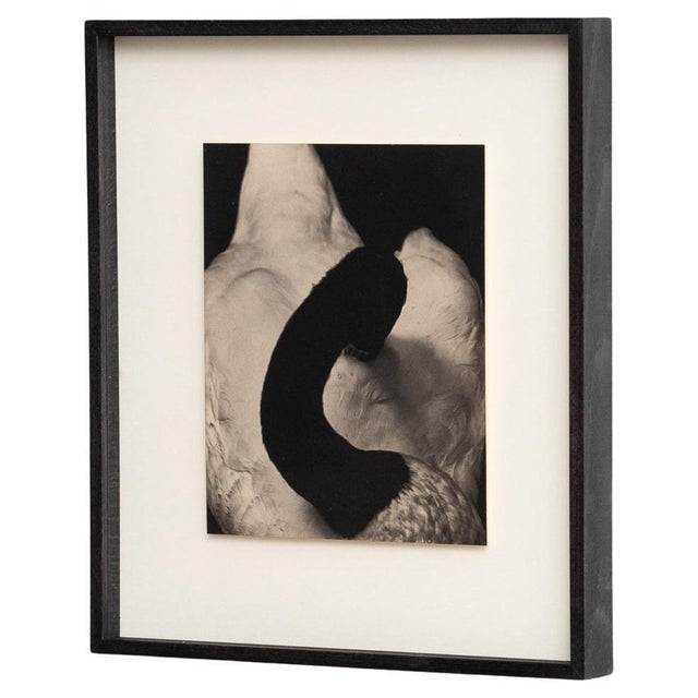 Albarran & Cabrera, Mouth of Krishna, Photographic Print, 2010s For Sale - Image 12 of 12