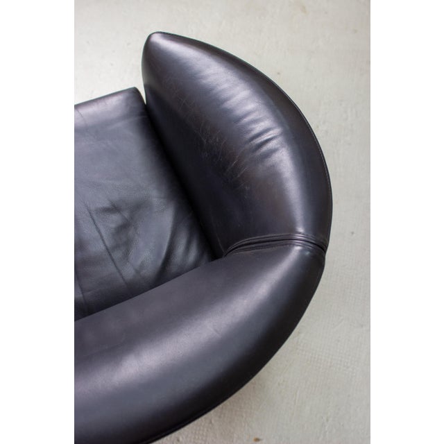 Animal Skin Vintage Aura Club Chair by Paolo Piva Chair for Wittmann, 1980s For Sale - Image 7 of 15