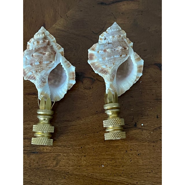 Contemporary Vintage Pair of Sea Shell Lamp Finials For Sale - Image 3 of 4