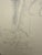 Carl Heinz Berberich, Nude Drawing, 1923, Pencil For Sale - Image 11 of 13