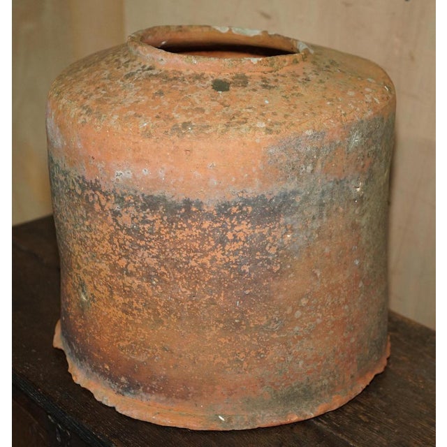 Antique English Terracotta Seakal Rhubarb Forced Planter, 1880 For Sale - Image 8 of 12