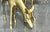 Vintage Regency Brass Deer - a Pair For Sale - Image 10 of 12