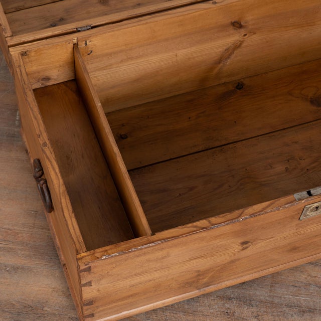 19th Century Swedish Pine Dome Top Trunk For Sale - Image 6 of 11