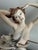 2000 - 2009 Vintage 2000 Florence Giuseppe Armani "The Triumph of Venus" Sculpture #1530c For Sale - Image 5 of 10