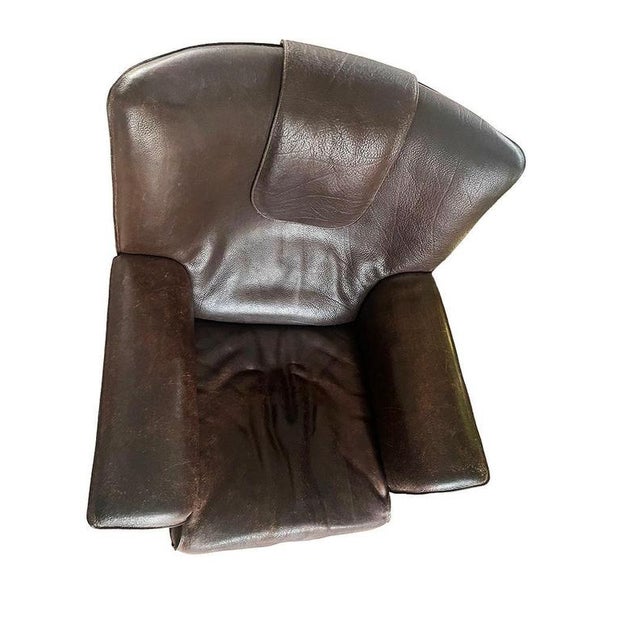 Animal Skin Brown Lounge Armchair from de Sede For Sale - Image 7 of 8