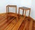 Flowerbed Bench from Thonet, Czechoslovakia, 1960s, Set of 3 For Sale - Image 8 of 15