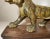 Large 1800's Antique Hand Carved Wood Japanese Tiger Meiji Sculpture Statue Art For Sale - Image 16 of 16