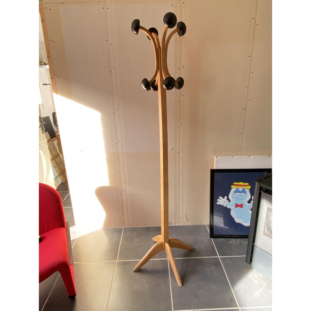 Vintage Stella Coat Rack in Beech, 1950s For Sale - Image 12 of 14