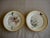 19th Century Set of 12 Sevres Botanical Plates, 1874 For Sale - Image 5 of 12