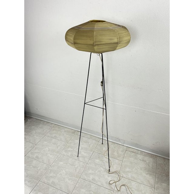 Mid-Century Floor Lamp with Raffia Shade, 1950s For Sale - Image 6 of 18