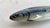 Ceramic Vintage Jay Willfred for Andrea by Sadek Ceramic Sardine Knife Rests - Set of 4 For Sale - Image 7 of 12